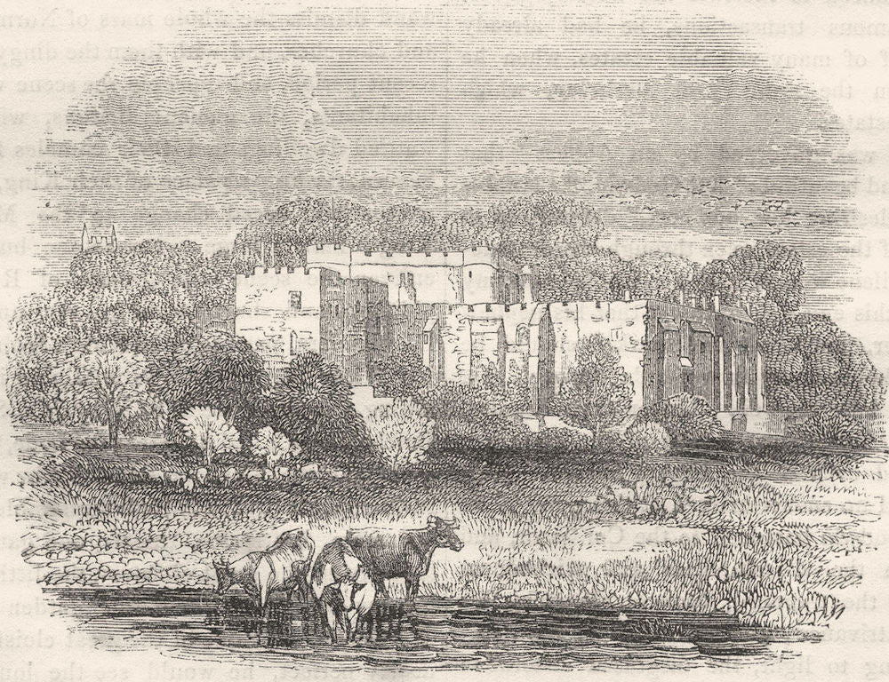 GLOUCESTERSHIRE. Berkeley Castle 1850 old antique vintage print picture